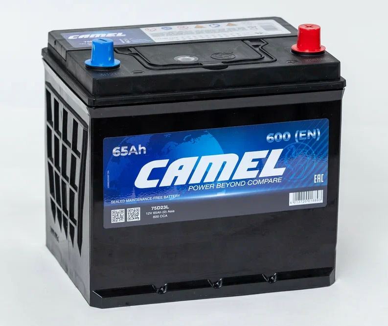 a0331a40-057f-11f0-9b9e-a9e83a98c7a3 1