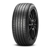 Каталог Автошина Pirelli P7-CNT 205/55/17 91V от магазина Шинторг