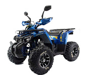 Комплектующие для квадроцикла 125 WILD X PRO синий