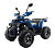 Комплектующие для квадроцикла 125 WILD X PRO синий