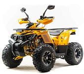 Комплектующие для квадроцикла 125 WILD X PRO желтый